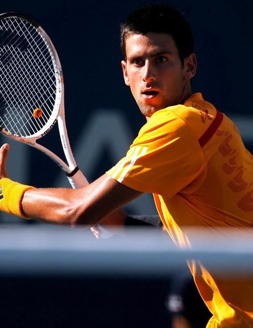 的转会路径 的转会路径